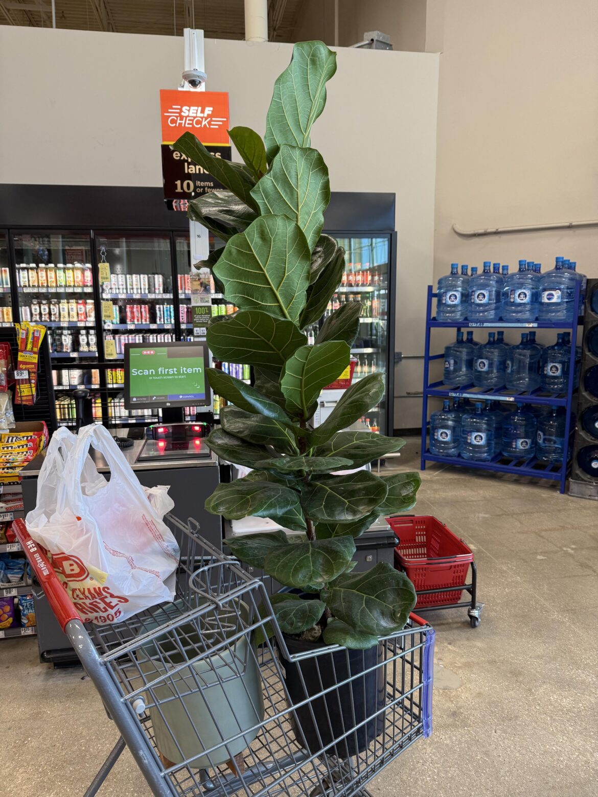 Went to the store for a protein drink