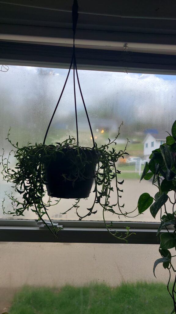 SOD Propagation advice, please