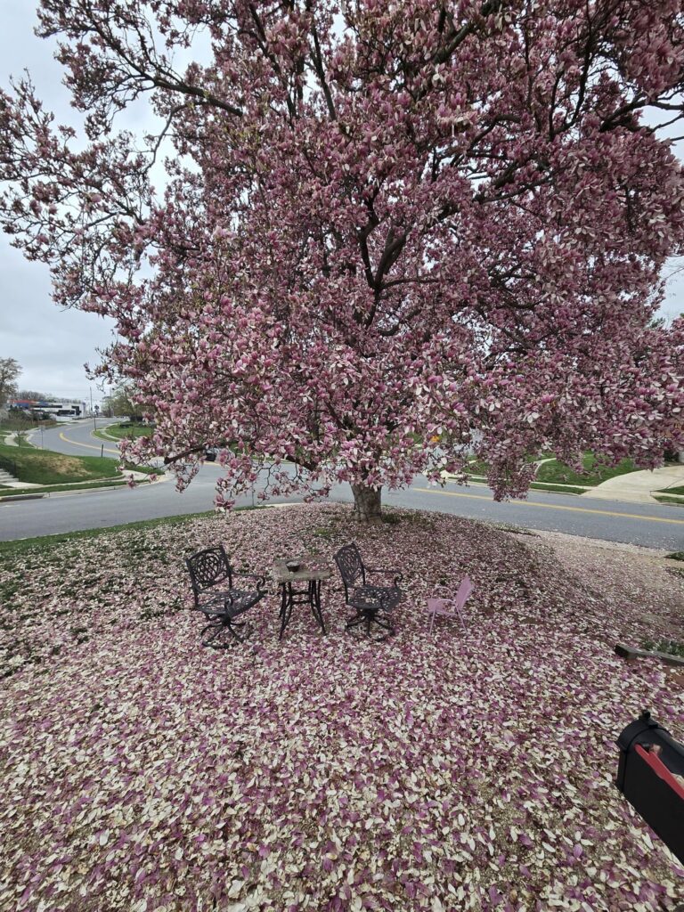 How can I clean this up?