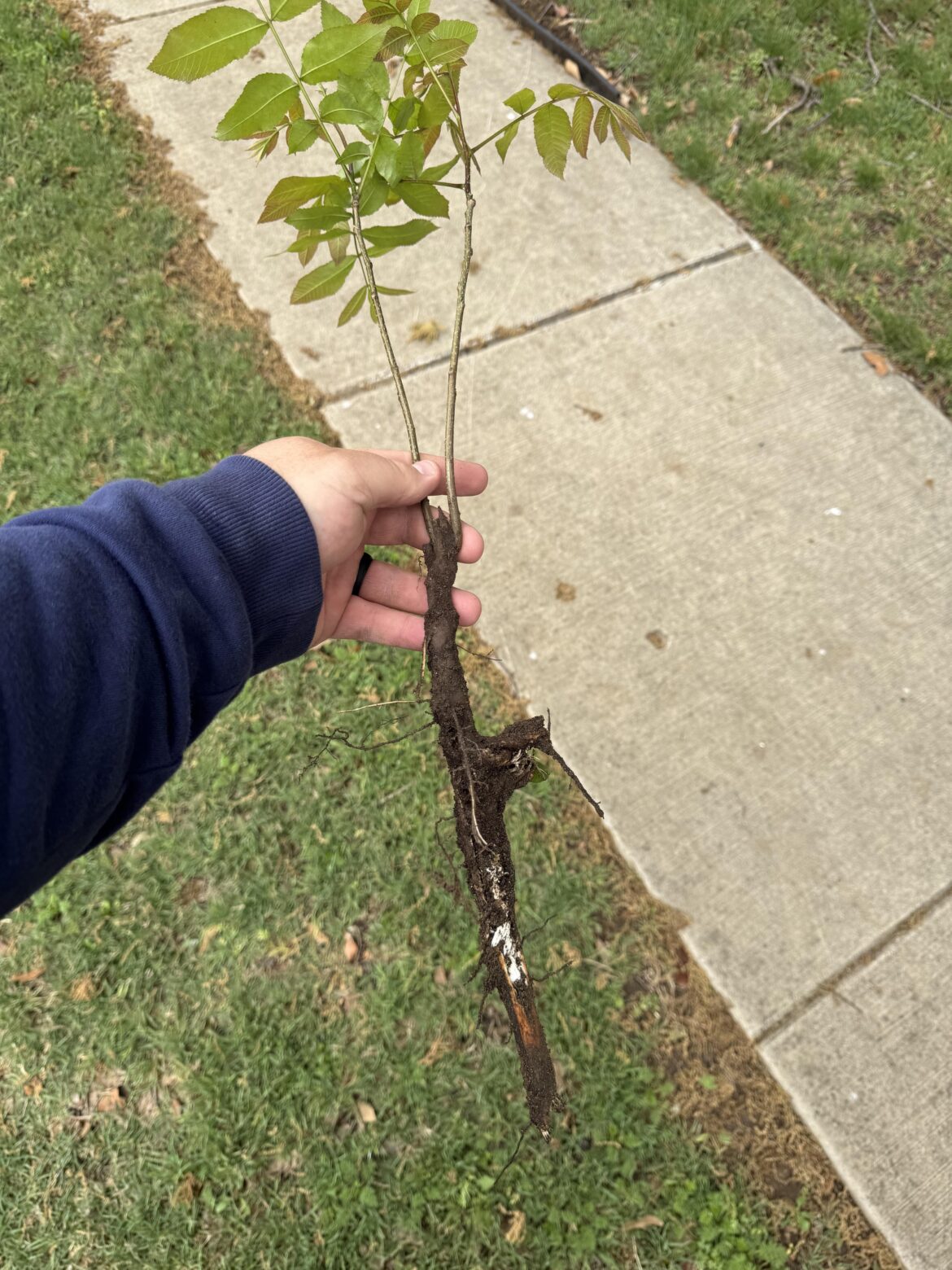 Please help me save this
