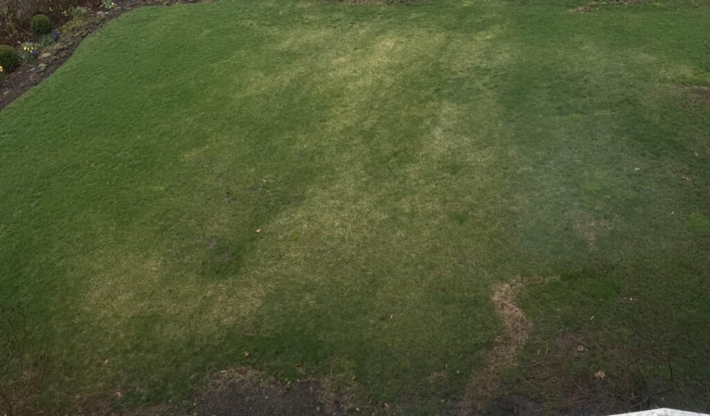 Do you think this will fill in?