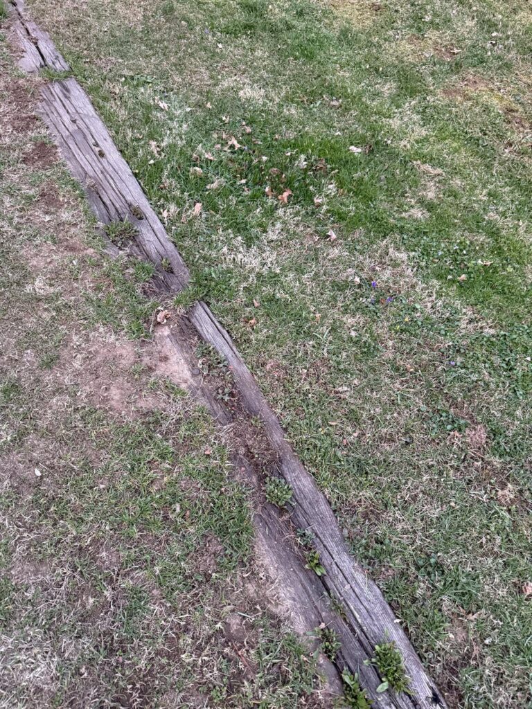 Wooden boards nailed into lawn - what is it/can I remove?
