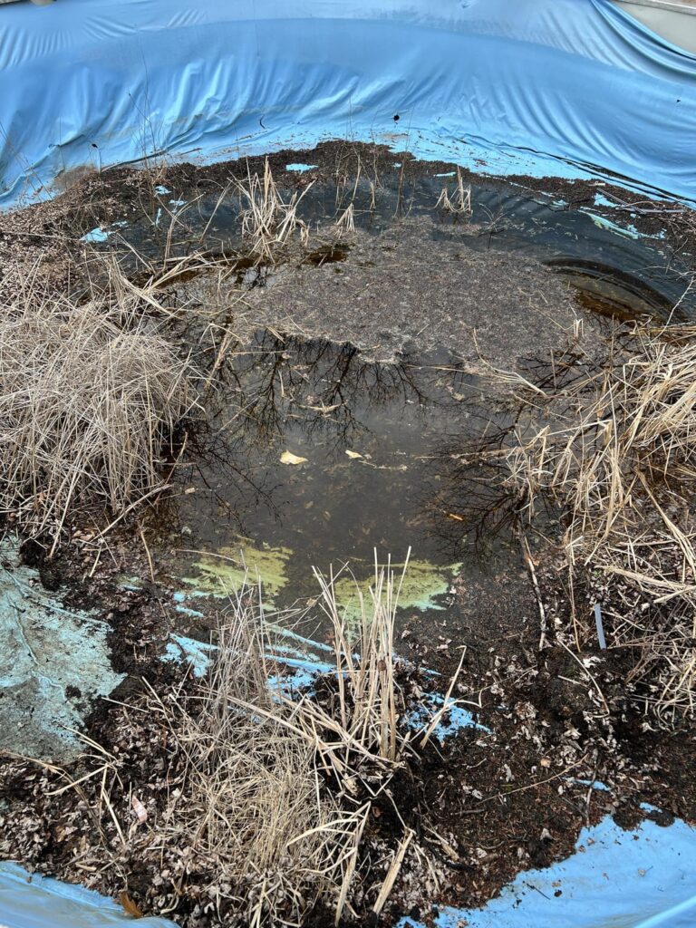Abandoned Pool Muck - good for compost?