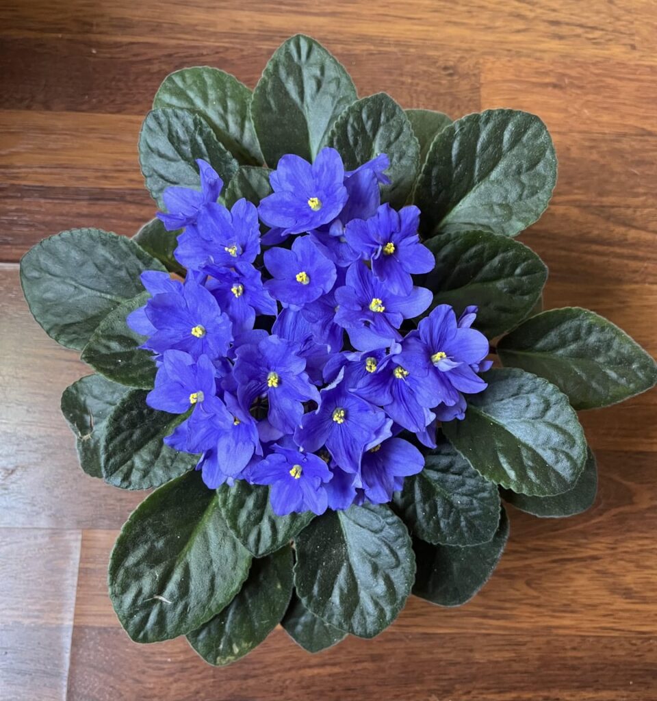 Loving the spring!