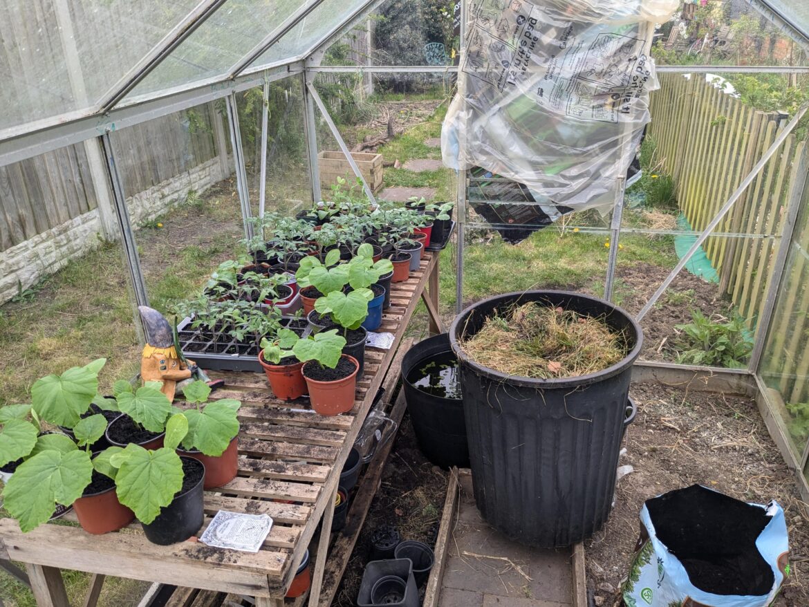 If your greenhouse is still feeling a little chilly at night and you've got a bunch of seedlings on the go, just move your bin full of grass clippings in to heat it up!