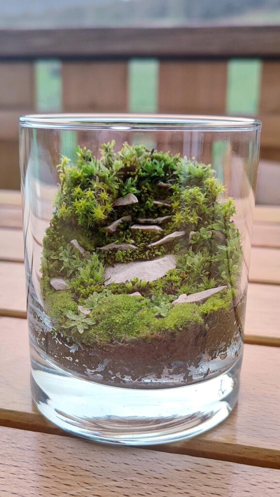 Mossarium in a glass