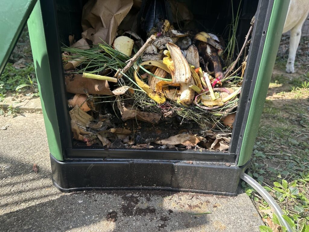 New to composting, does this look right?
