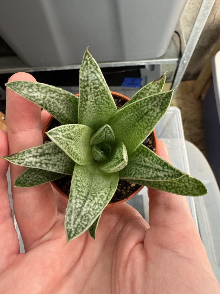 ID help?