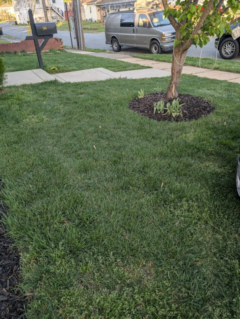 Not the best but not the worst