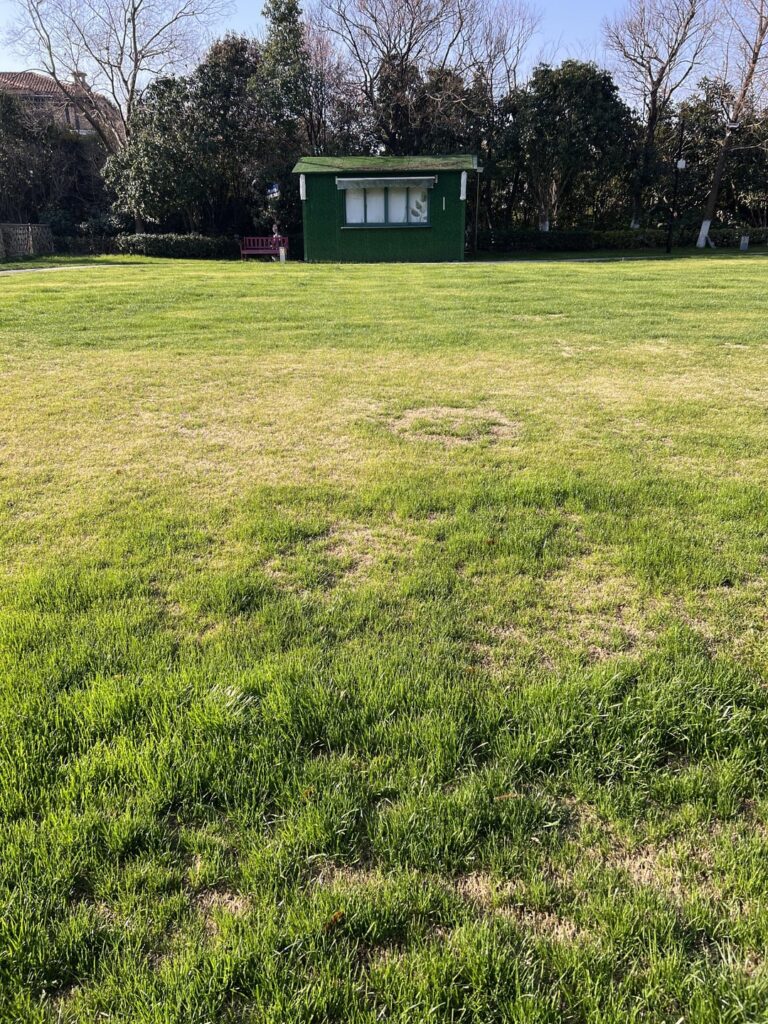 how to achieve a smoother surface?