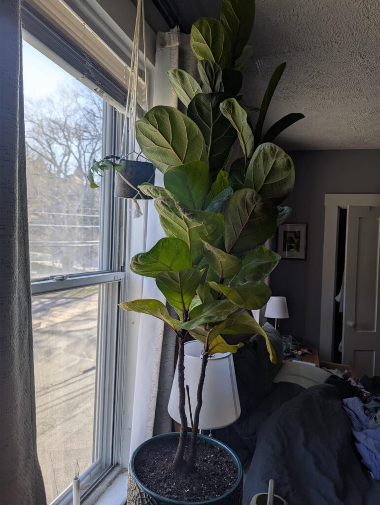 Need advice on next step