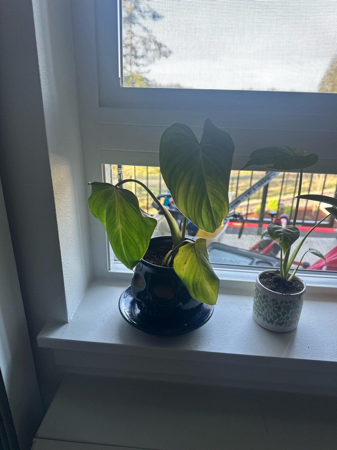 Am i killing her?