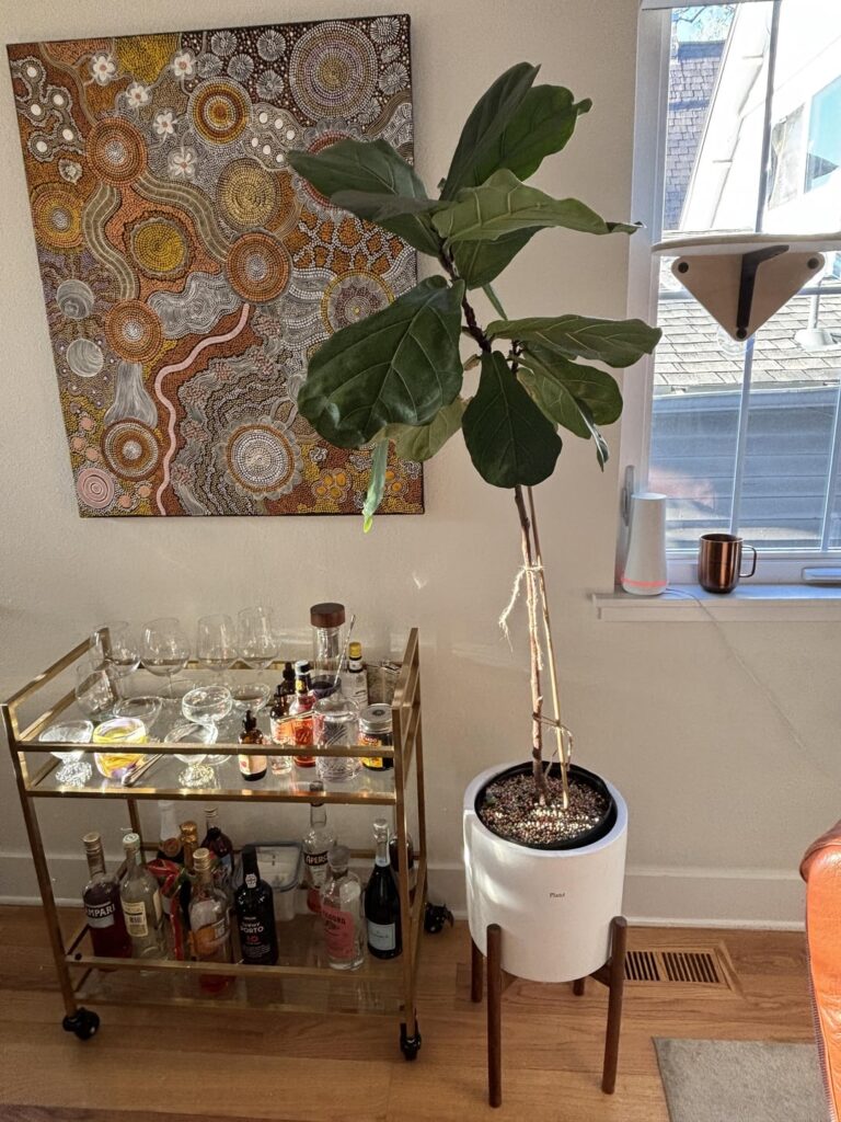 How to help growth? How to help growth?