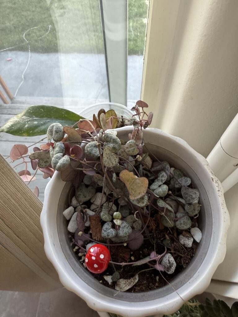 Advice please:) Advice please:)
