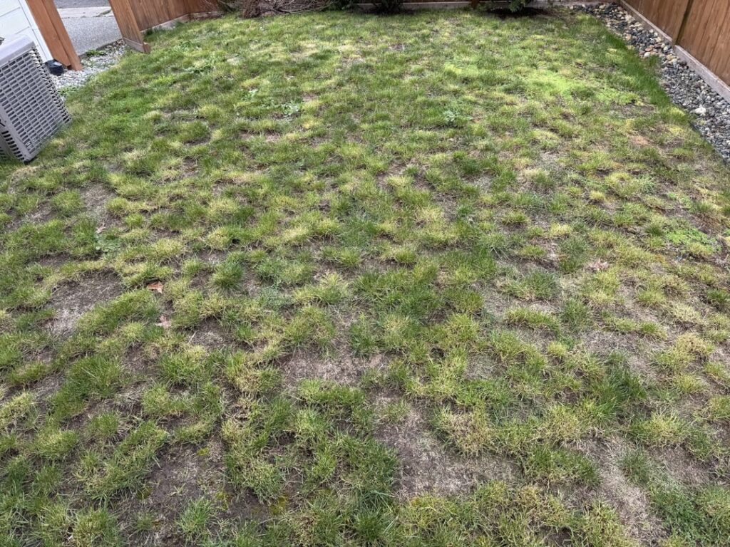 Where do I even start?