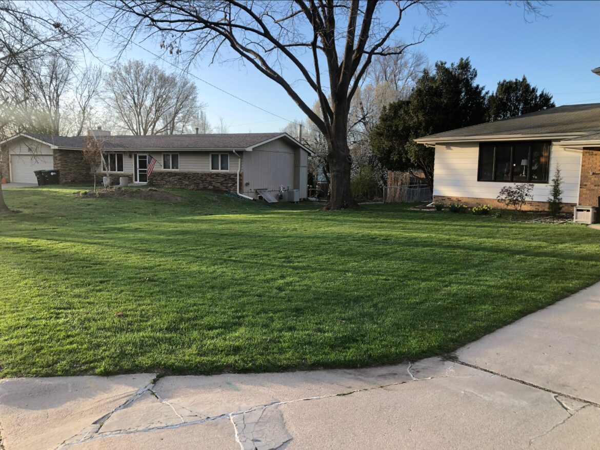 Long time lurker Long time lurker