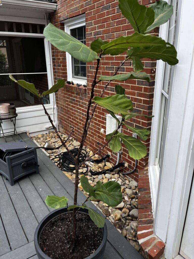 How’s she looking? What can I do?