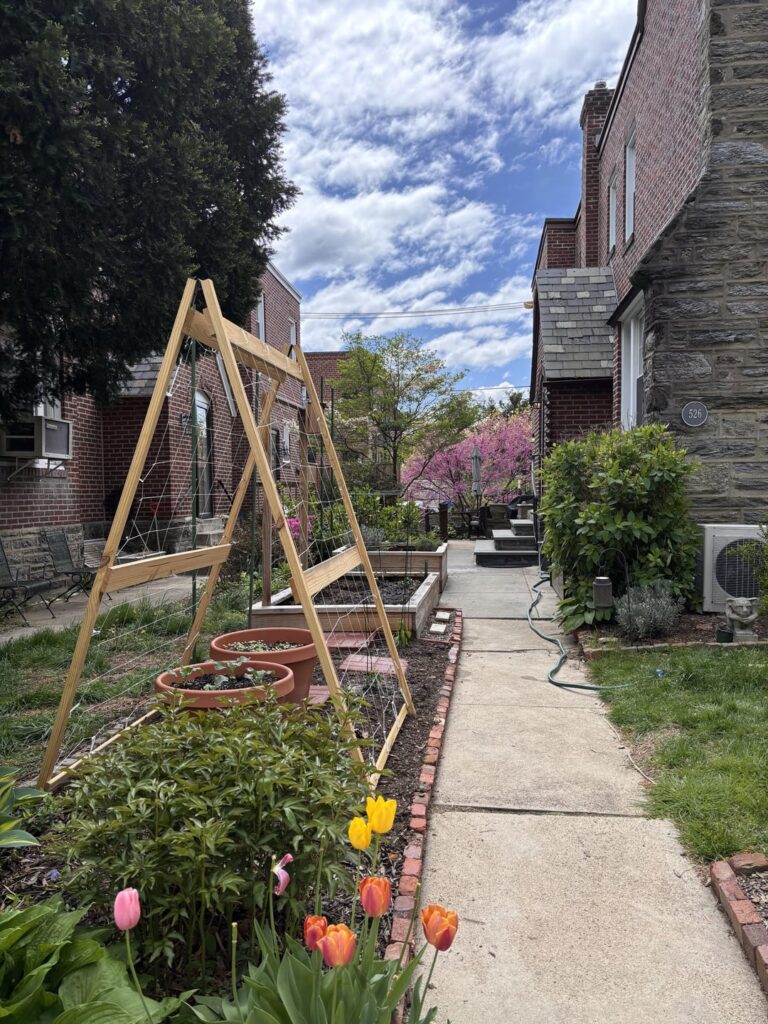 Philadelphia Veggie Gardening