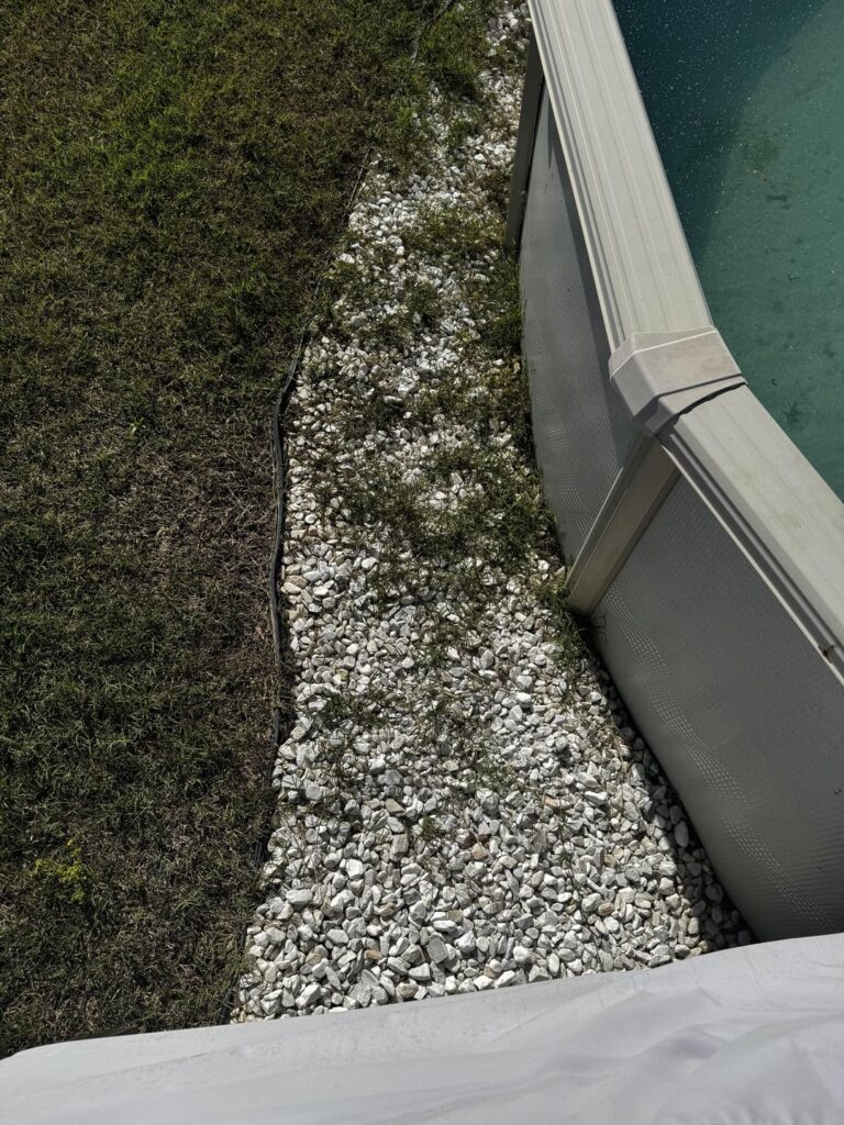 Please help… I’m lost on how to kill this grass…