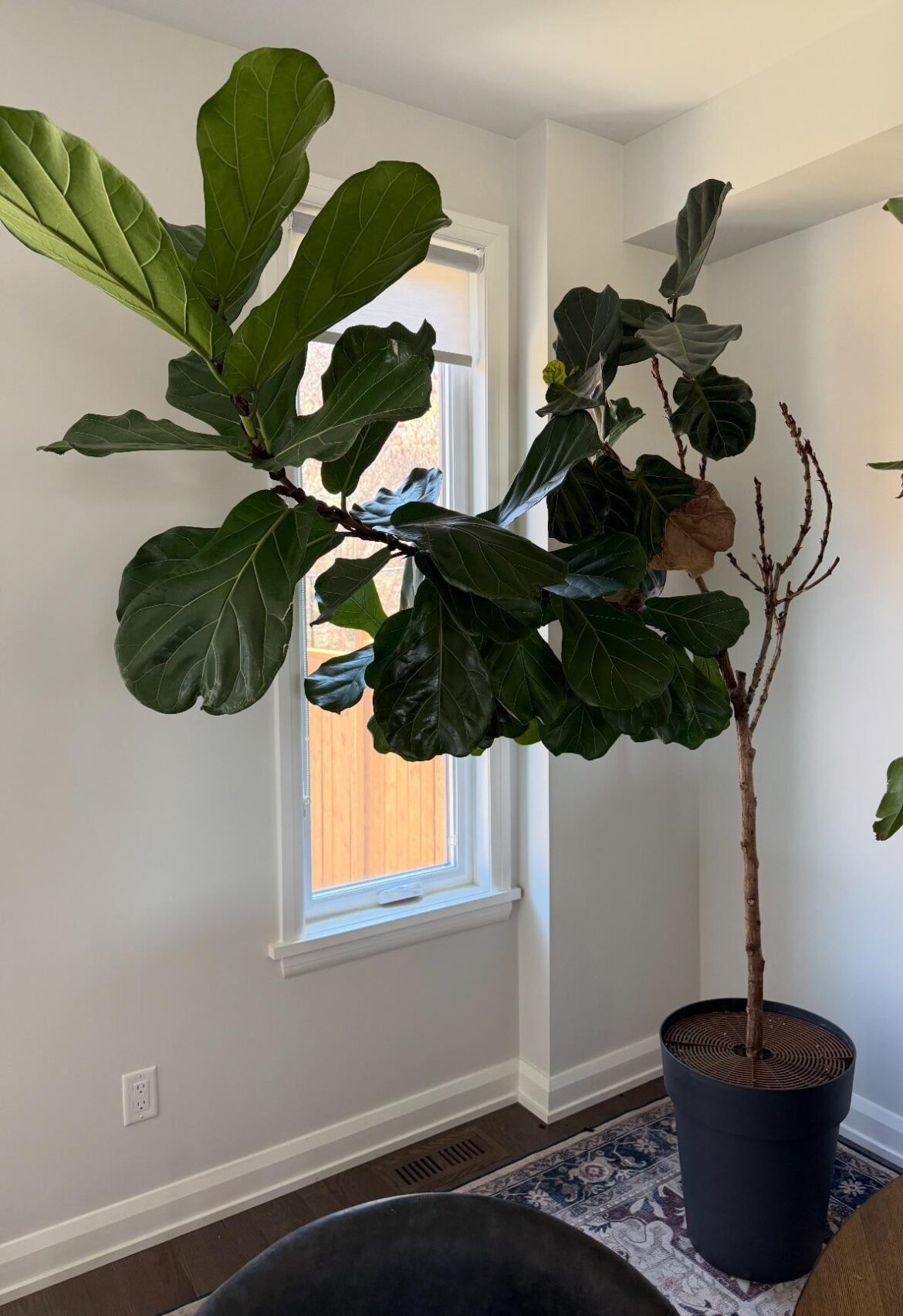 Heavy leaning… what do I do?