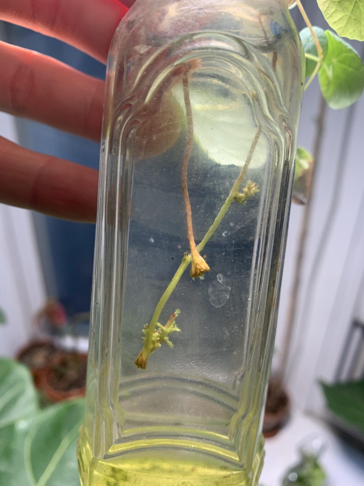 It’s happening again