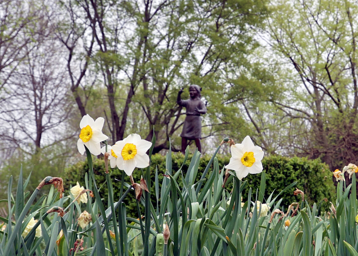 Pokin Around: A year later, Friends of the Garden still does not have executive director Pokin Around: A year later, Friends of the Garden still does not have executive director