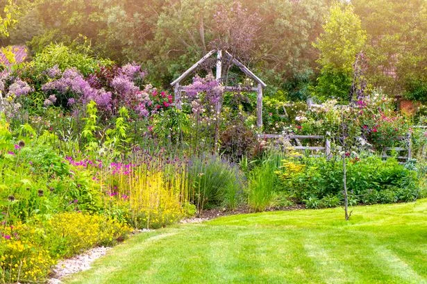 A picture of a blooming garden
