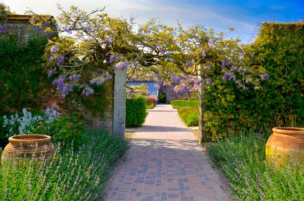 A pathway in the Lost Gardens of Heligan