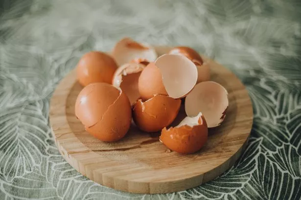 Eggshells on a table