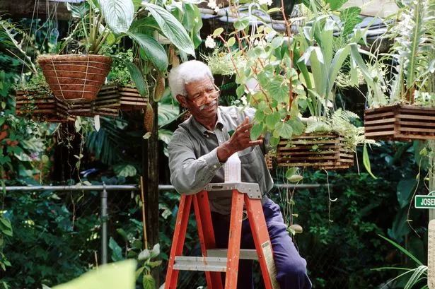 garden
