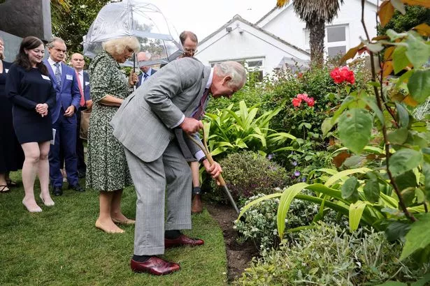 Charles digging
