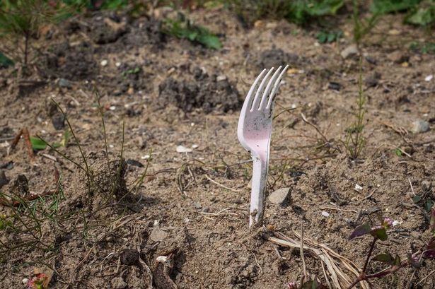A white plastic fork stuck in dirt in a garden