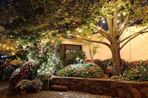 Lighting in a garden