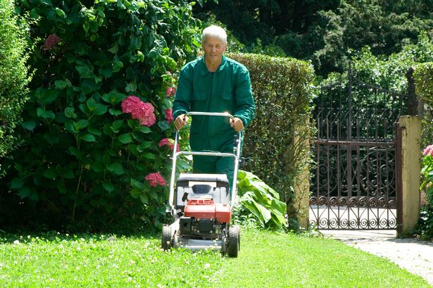 A man pushes a lawn mower across the lawn