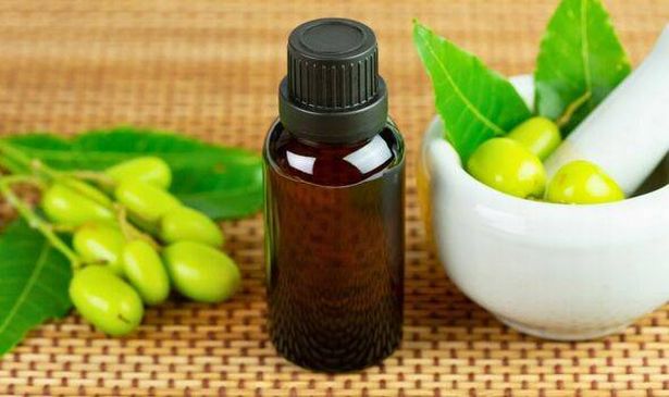 A small bottle on neem oil 