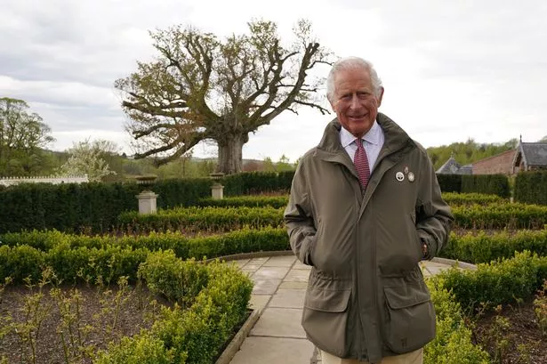 King Charles in the garden