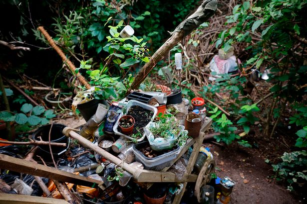 Mr Cross' garden pictured in 2023