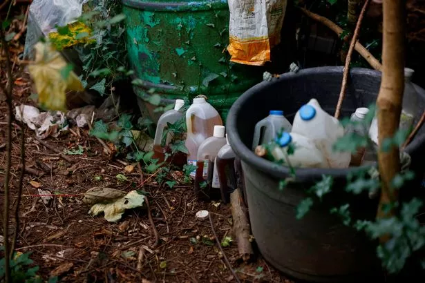 Mr Cross' garden pictured in 2023