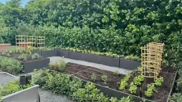 Ivanka shared a picture of her "kitchen garden," which refers to the size, not the actual location 