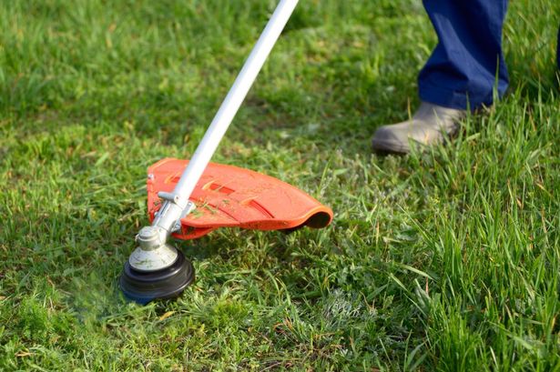 Strimming grass