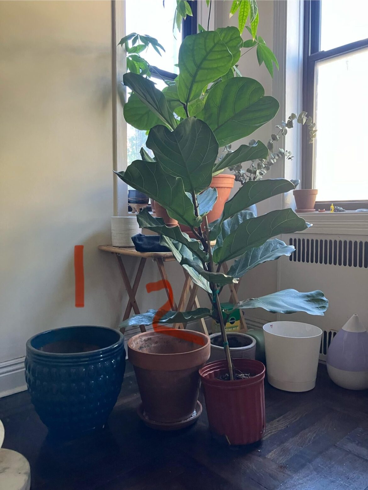 Which pot to use?