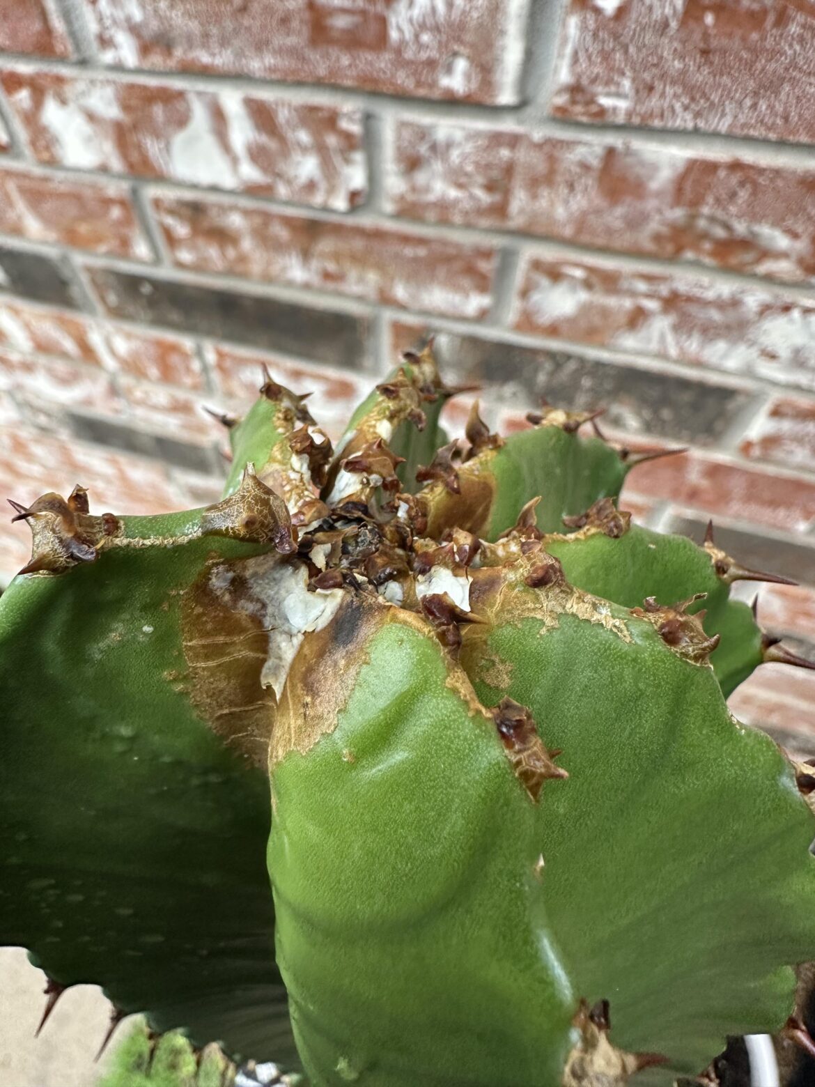 Any idea what’s happening here?