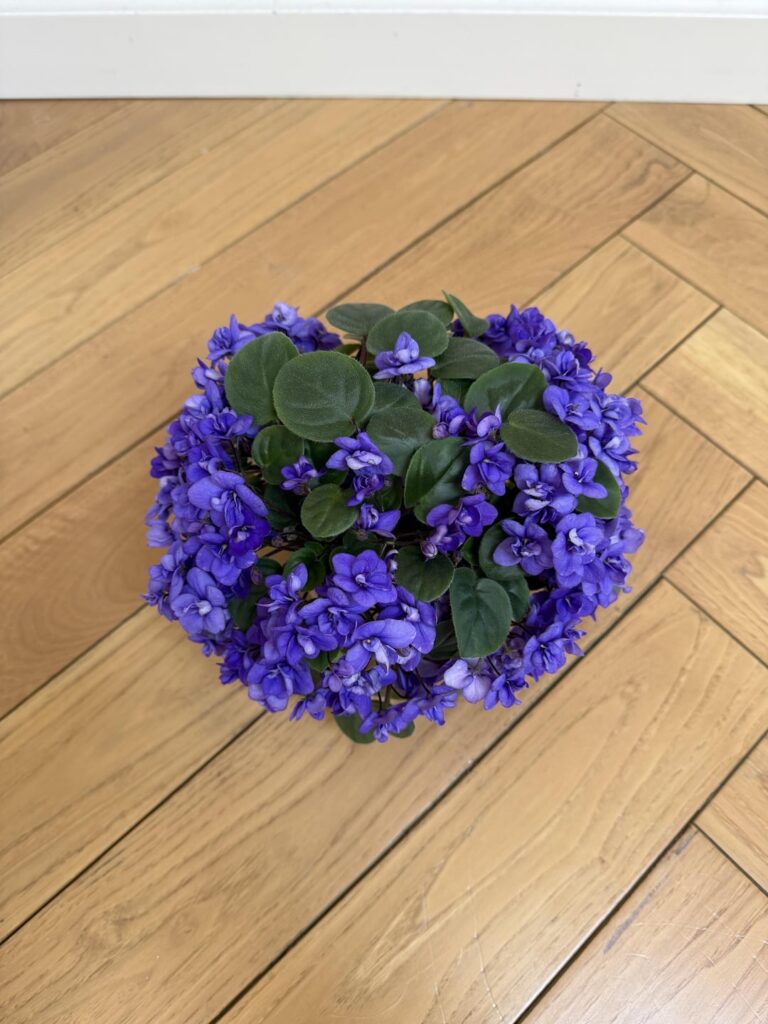 Rob’s Gundaroo is a heavy bloomer.