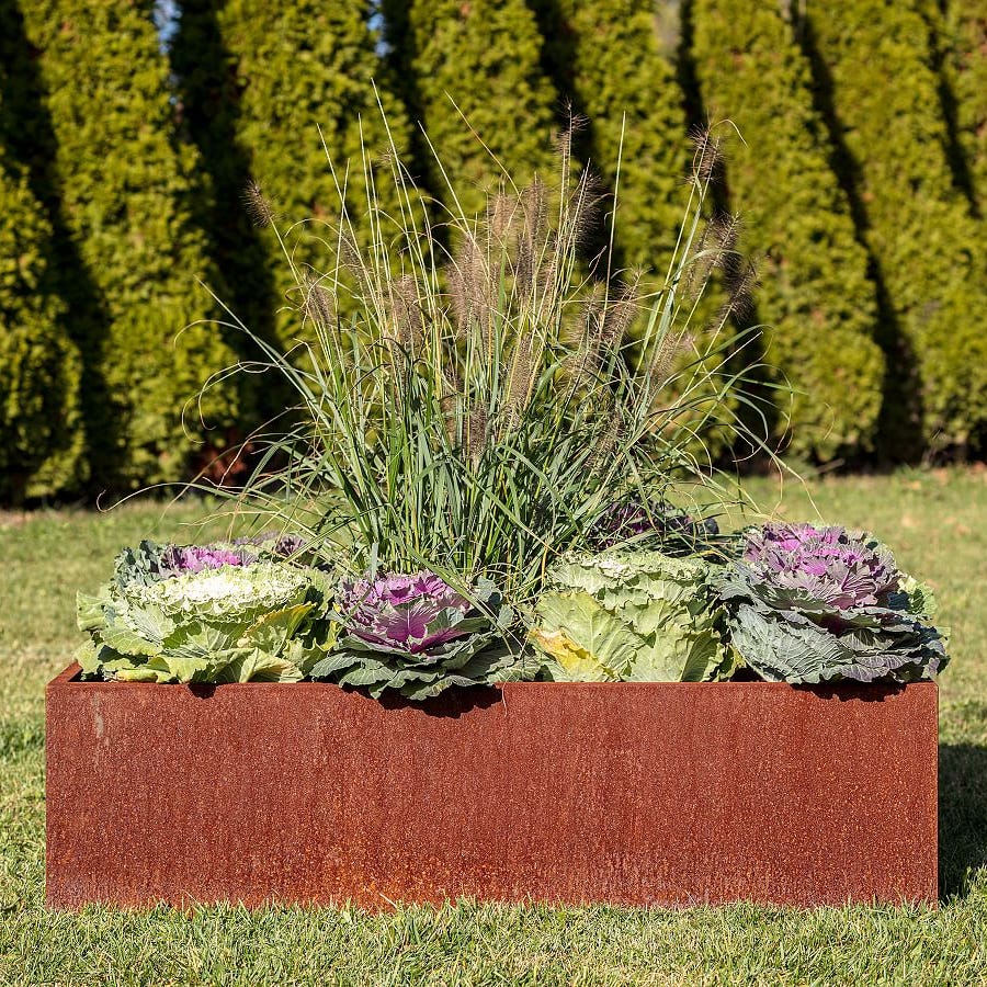 The corten steel garden bed