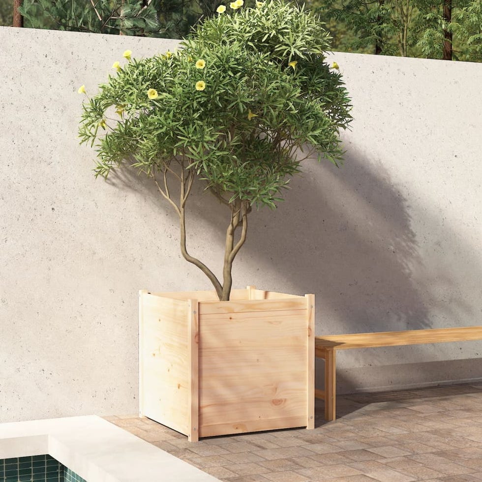 The solid pine box