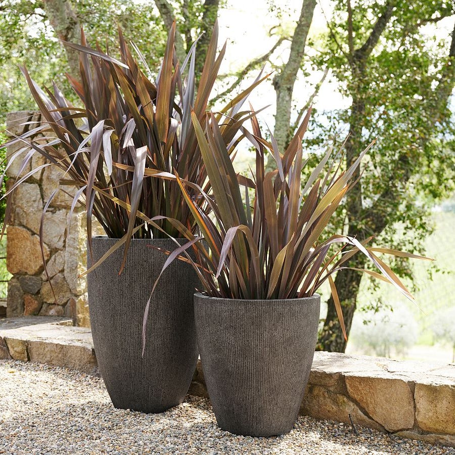 Aspen ficonstone planter