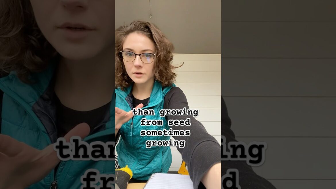 Beginner Gardener Tips!🌱