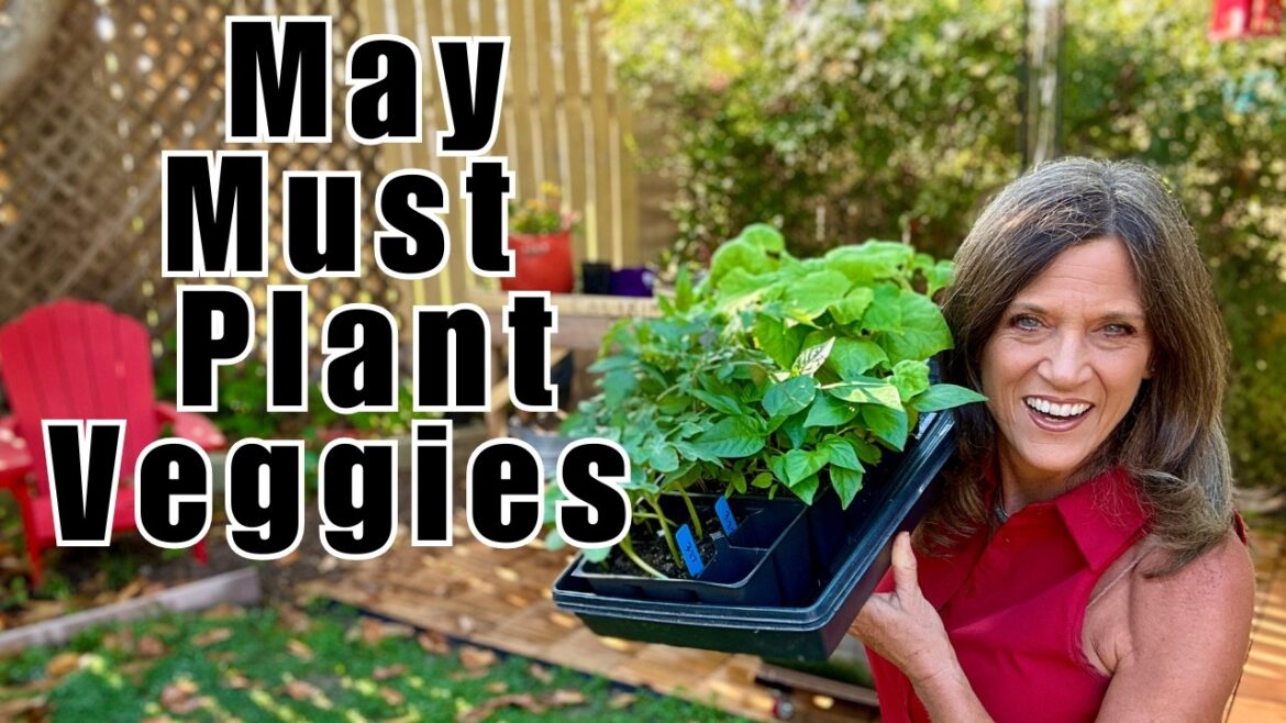 May Must Plant Vegetables