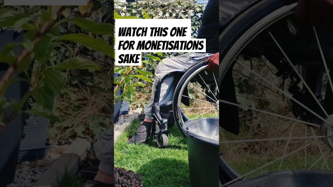 Replanting Failed Successfully #wheelchair #disabled #garden #tips #fail #funny