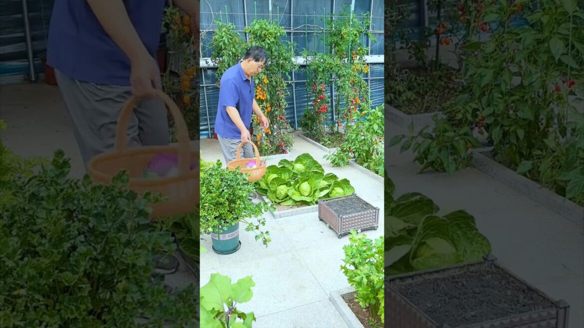 cabbage,cauliflower and green onion  #shots #youtubeshorts